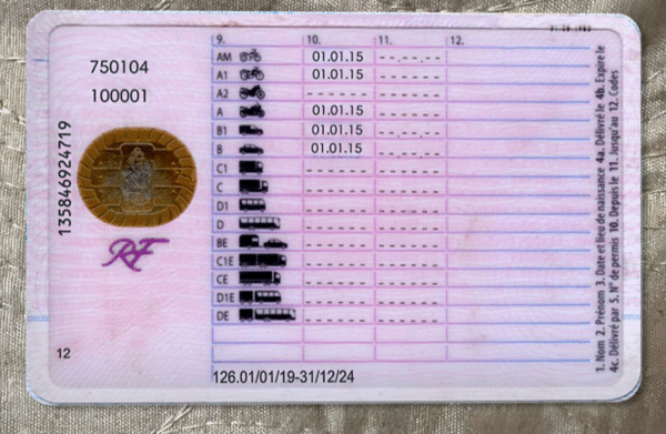 Buy Fake France Driver License